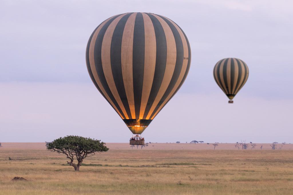 Tanzania Balloon Safaris