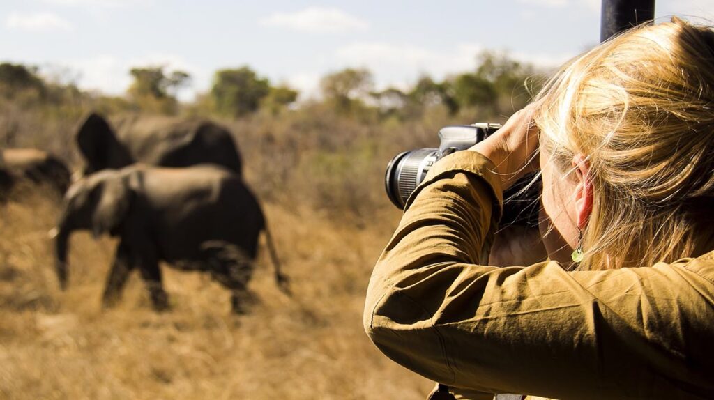 Safari Photography Tips