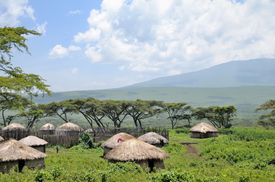 African Safari Tours