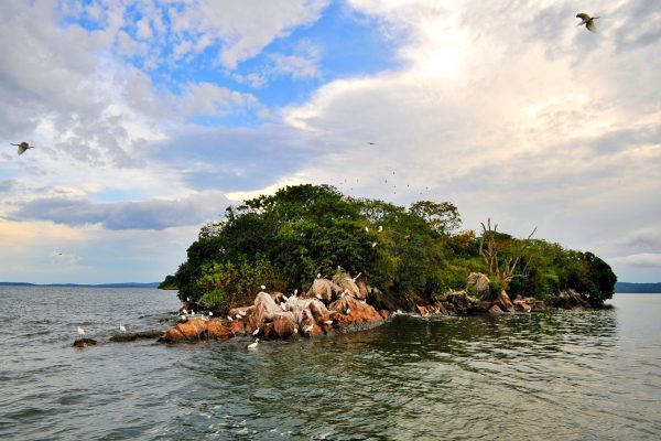 Rubondo Island Rubondo Island