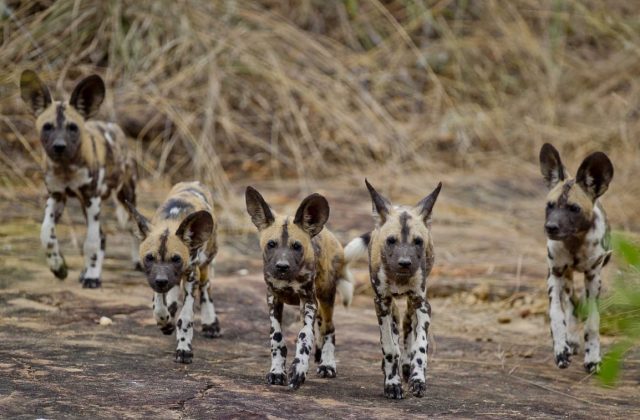 Hidden Gems of Tanzania