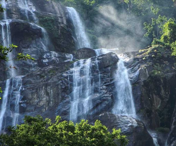 Udzungwa Mountains 1