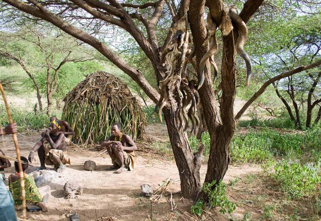 hadzabe 1 (2) Tanzania Cultural Safaris