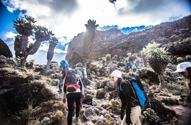 Kilimanjaro climbing