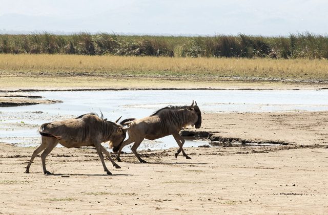 Hidden Gems of Tanzania