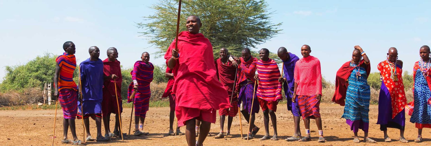 African Safari Tours