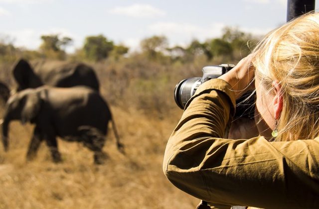 safari photo