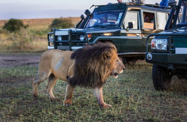 Family Safaris in Tanzania