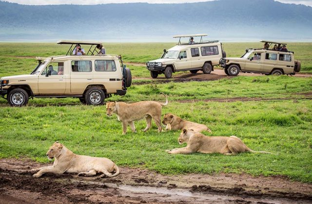 Family Safaris in Tanzania