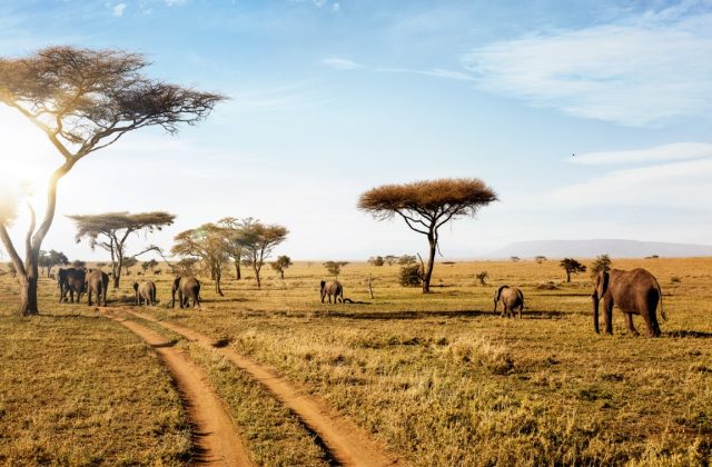 Serengeti & Zanzibar